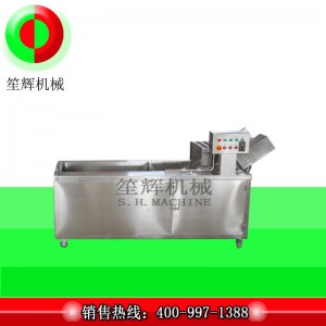 Luxus-Ozon-Desinfektionswaschmaschine (reversibles Förderband)