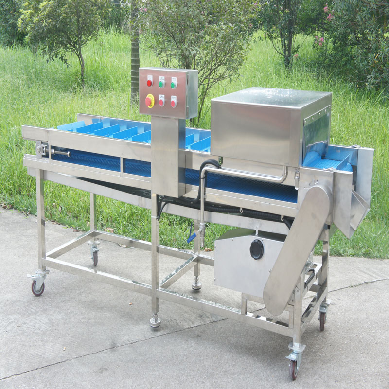 Die Fischkopfschneidemaschine macht Ihren Tisch üppiger
